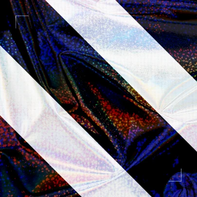 Holo Logo